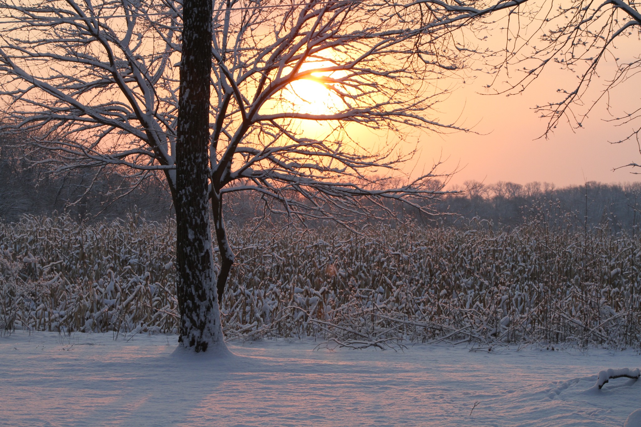 Winter Light, American landscape